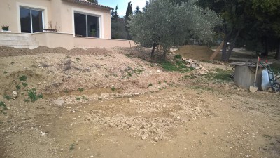 WP_20170214_14_02_15_Pro.jpg