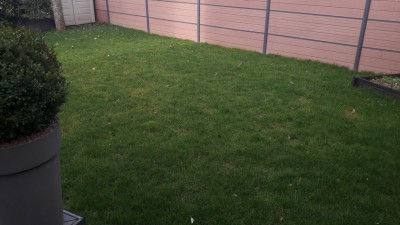 20170226_093455.jpg