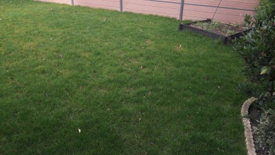 20170226_093457.jpg