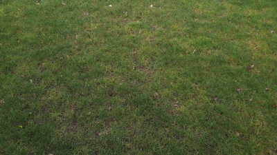20170226_093505.jpg