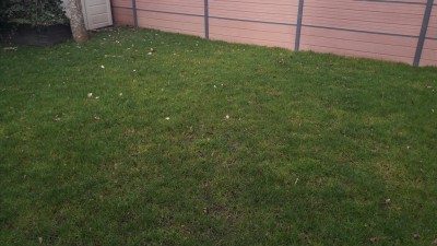 20170226_093507.jpg