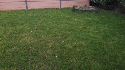 20170226_093509.jpg