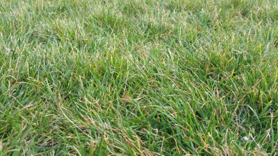 20170303_162139.jpg