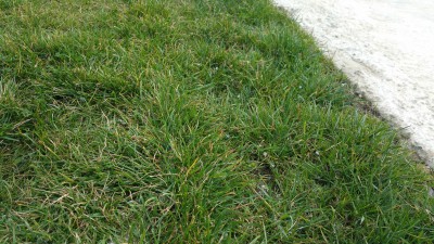 20170303_162307.jpg