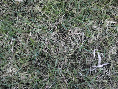 IMG_2275.JPG