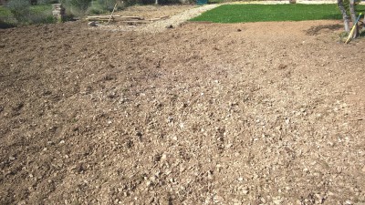 WP_20170311_11_19_57_Pro.jpg
