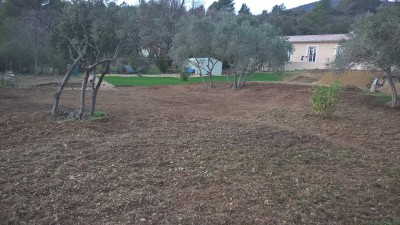 WP_20170312_17_49_15_Pro.jpg