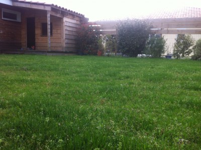 photo 2-4.JPG