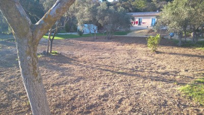 WP_20170319_17_49_29_Pro.jpg