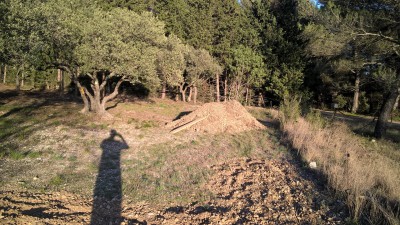 WP_20170319_17_49_16_Pro.jpg