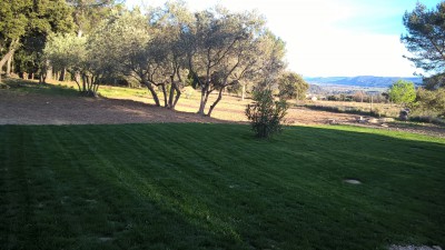 WP_20170319_17_39_53_Pro.jpg