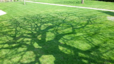 20170326_130103.jpg