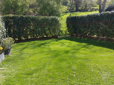 20170326_124829.jpg