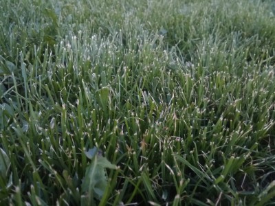 20150630_221622.jpg