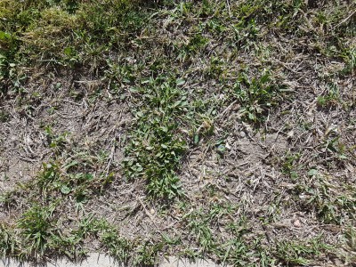 20170407_102652.jpg