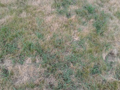 2015-07-09 11.46.13.jpg