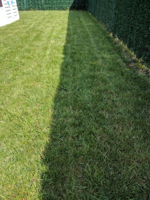 IMG_20170420_123049.jpg