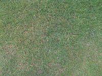 IMG_20140828_135608.jpg
