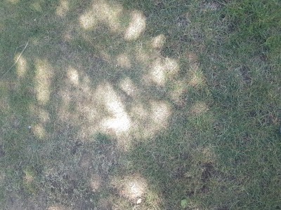 1493554633010-144754381.jpg