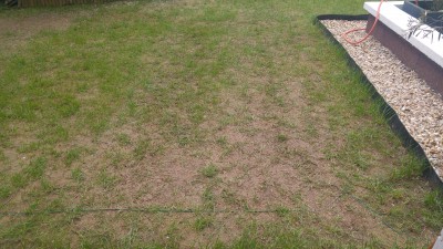 20170416_144944_HDR.jpg