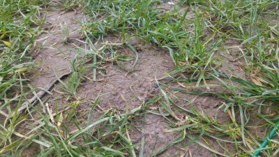 20170501_123032_HDR.jpg