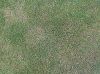 IMG_20140828_135613.jpg