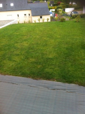 IMG_2269.jpeg