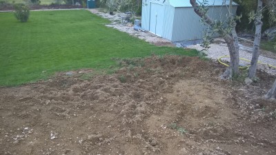 WP_20170504_19_57_52_Pro.jpg