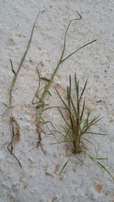 20170505_210307.jpg