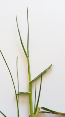 20170506_101053.jpg