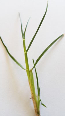 20170506_101113.jpg
