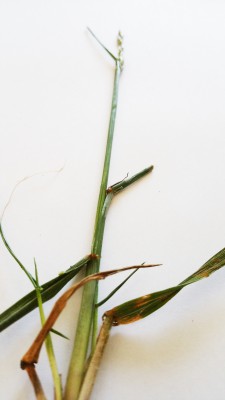 20170506_101404.jpg