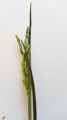 20170506_101428.jpg