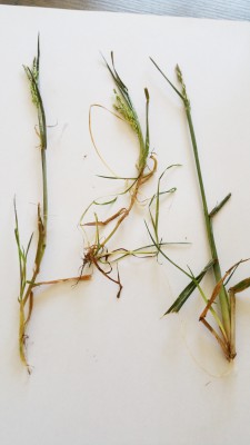 20170506_101449.jpg