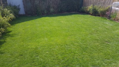 20170506_123416.jpg