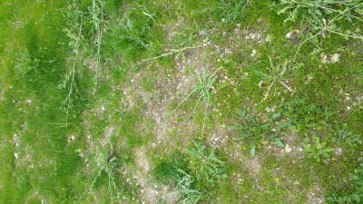 20170506_163426.jpg