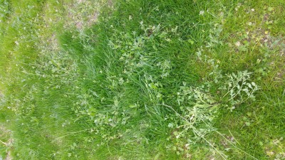 20170506_163429.jpg
