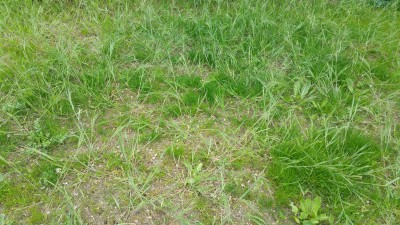 20170506_163437.jpg