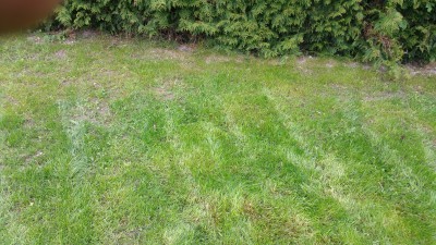 20170506_163445.jpg