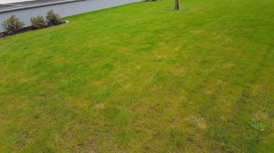 20170507_094124-crop.jpg