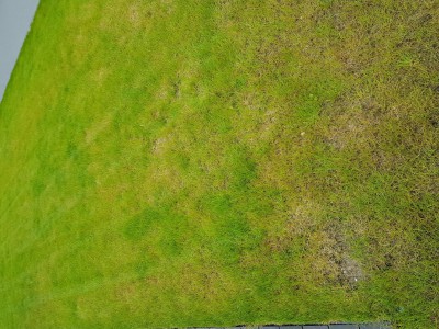 20170507_094205.jpg