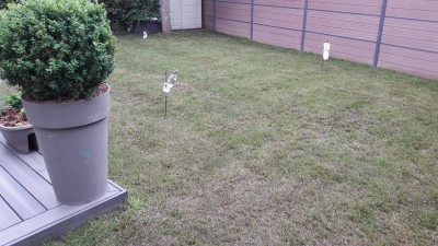 20170508_121735.jpg