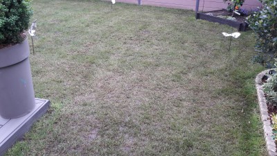 20170508_121731.jpg
