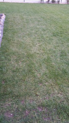 20170508_204023.jpg
