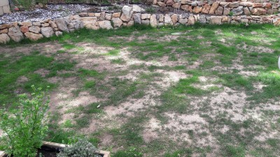20170514_123446.jpg