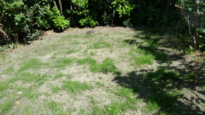 IMG_0343.JPG