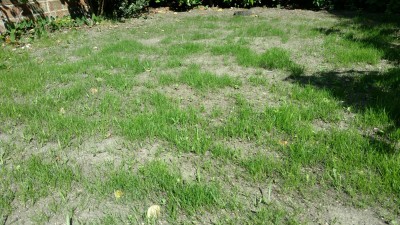 IMG_0344.JPG