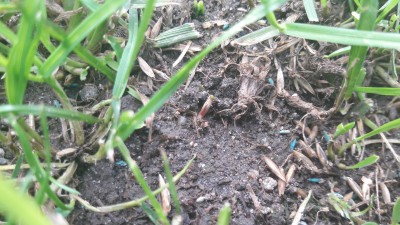 20170514_185801.jpg