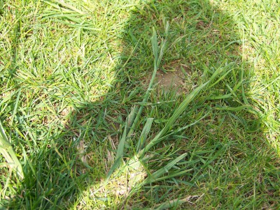 100_8285.JPG
