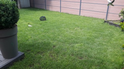 20170521_115355.jpg